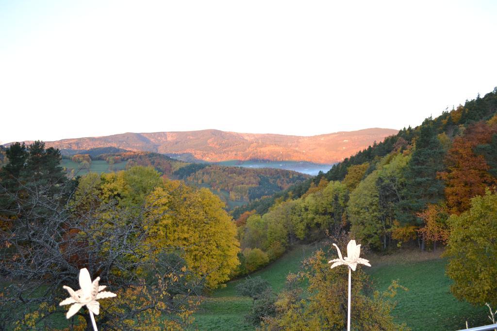 Les Fermes De Pinpin Villa Labaroche Rum bild